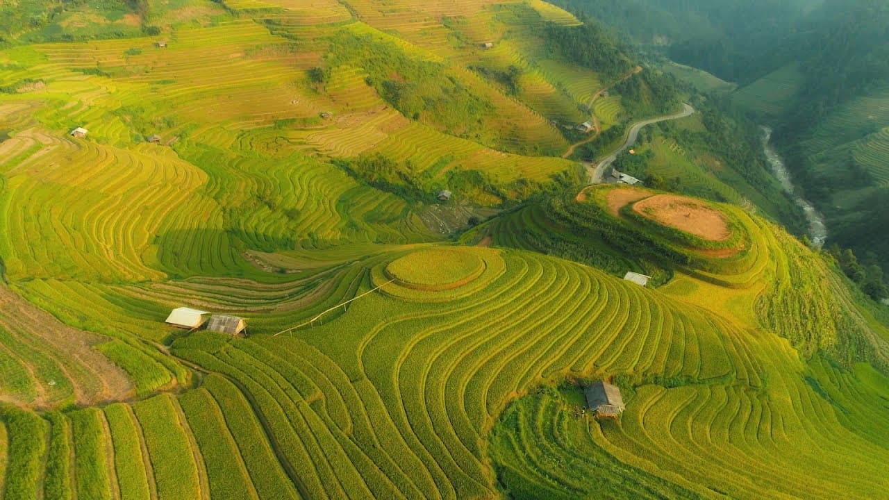 CAO - A timeless story